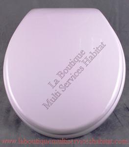 SFA NP100103 ABATTANT C43 FREIN DE CHUTE